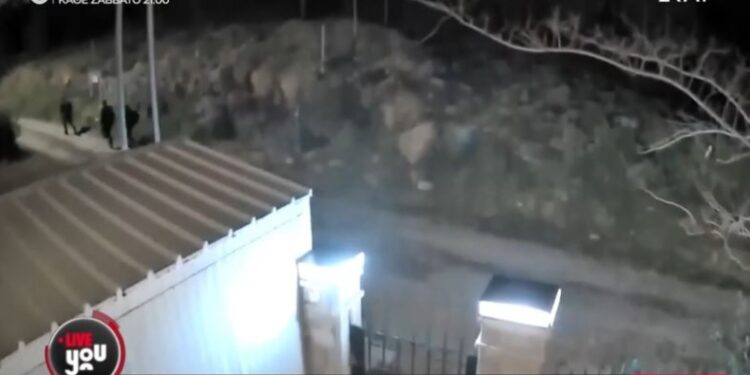 Διαρρήκτες έπεσαν πάνω σε σκυλιά και τα «έκαναν» πάνω τους: Μπούκαραν σε άλλο σπίτι (vid)