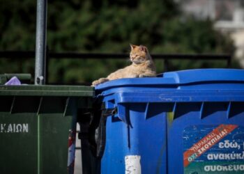 Πάρκαρε μπροστά σε κάδο σκουπιδιών και του έκαναν χουνέρι
