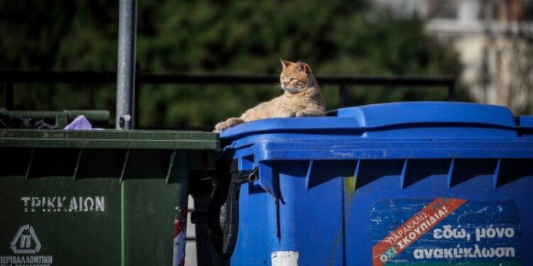 Πάρκαρε μπροστά σε κάδο σκουπιδιών και του έκαναν χουνέρι