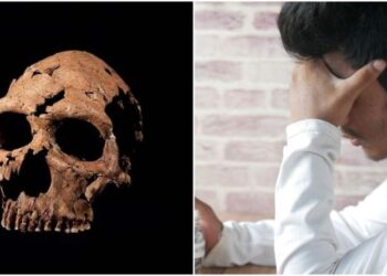 Υποφέρετε από πονοκεφάλους: Μελέτη αποκαλύπτει πως φταίνε οι πρόγονοι μας (vid)