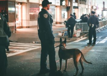 Οικογένεια μεταναστών χωρίζεται από την αστυνομία των ΗΠΑ και η εικόνα αυτή πήρε το βραβείο του World Press Photo 2026